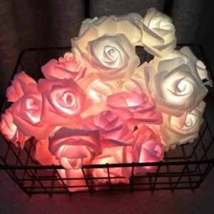 নতুন কালেকশন