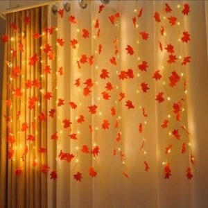 সেঞ্চুরি পাতা লাইটিং