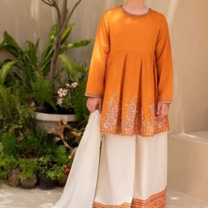 এমব্রয়ডারি ডায়মন্ড জর্জেট