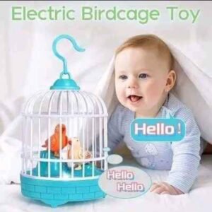 Dancing & Talking Bird Toy