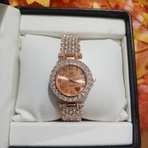 Ladies watch