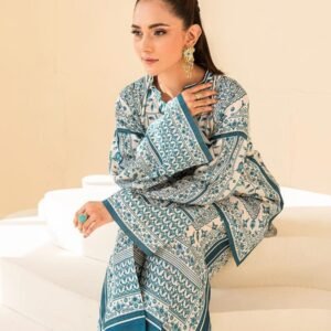 নিউ কালেকশন ২ পিস