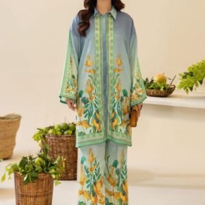 নিউ কালেকশন ২ পিস