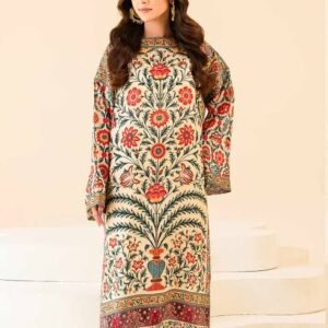 নিউ কালেকশন ২ পিস