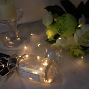 ডেকোরেশন এর লাইটিং