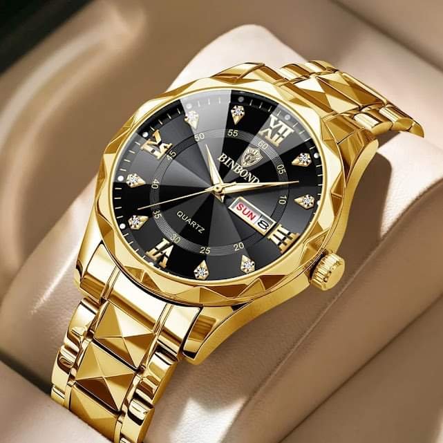 BINBOND 2521 Luxury Brand Luminous Quartz Watch For Men