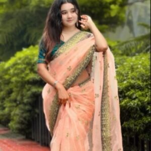 অর্গানজা শাড়ি – ১২ হাত লম্বা, ভেলভেট ব্লাউজ পিসসহ এমব্রয়ডারি ও পাথরের কাজ