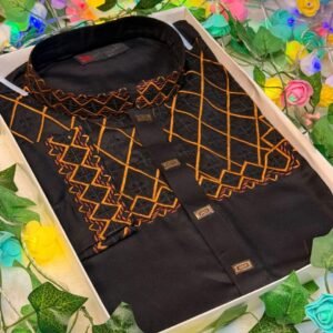 ❤️সিকুয়েন্স পাঞ্জাবি❤️