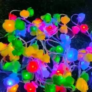 ডেকোরেশন লাইটিং সেট