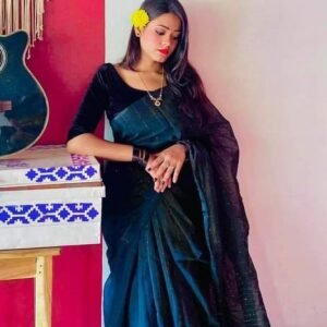 স্টাইলিশ চুমকি শাড়ি