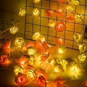 ডেকোরেশন এর লাইটিং