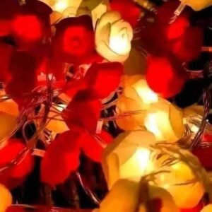 ডেকোরেশন লাইটিং সেট