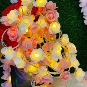 ডেকোরেশন এর লাইটিং