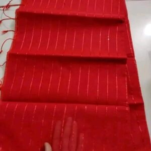 স্টাইলিশ চুমকি শাড়ি