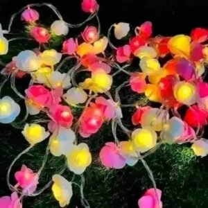 ডেকোরেশন লাইটিং সেট